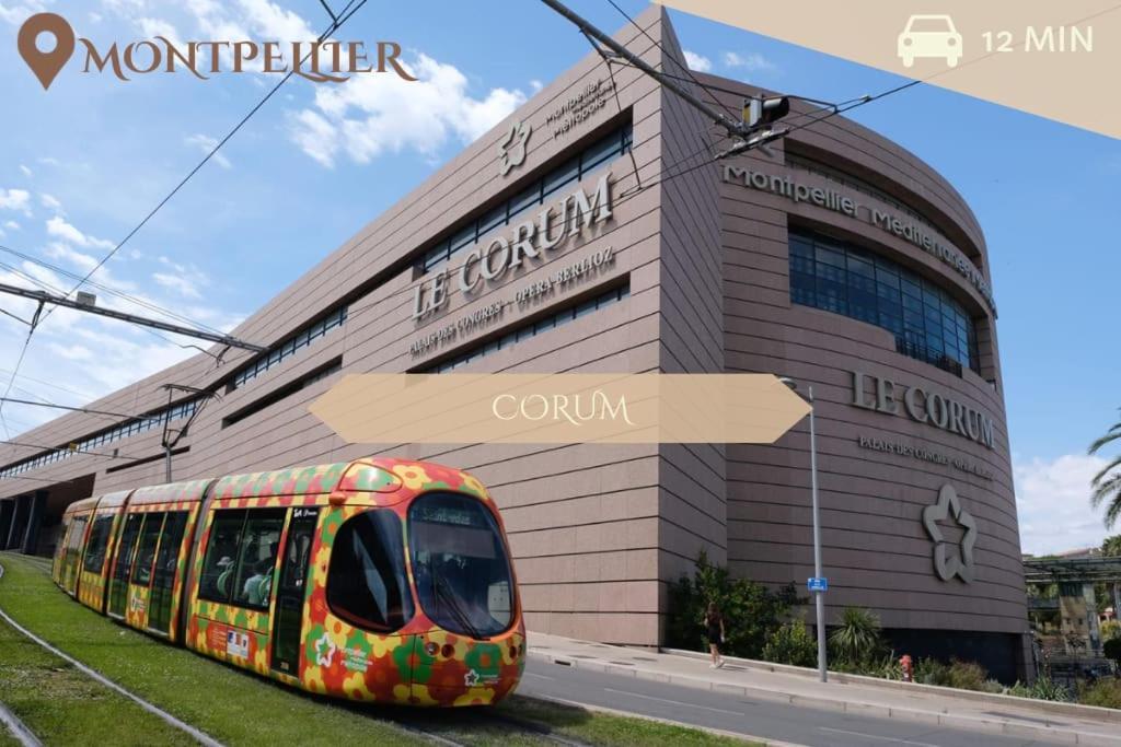 016- T2 Tropisme, Appart 1 Chambre,Clim,Wifi,Parking มงต์เปอลิเยร์ ภายนอก รูปภาพ